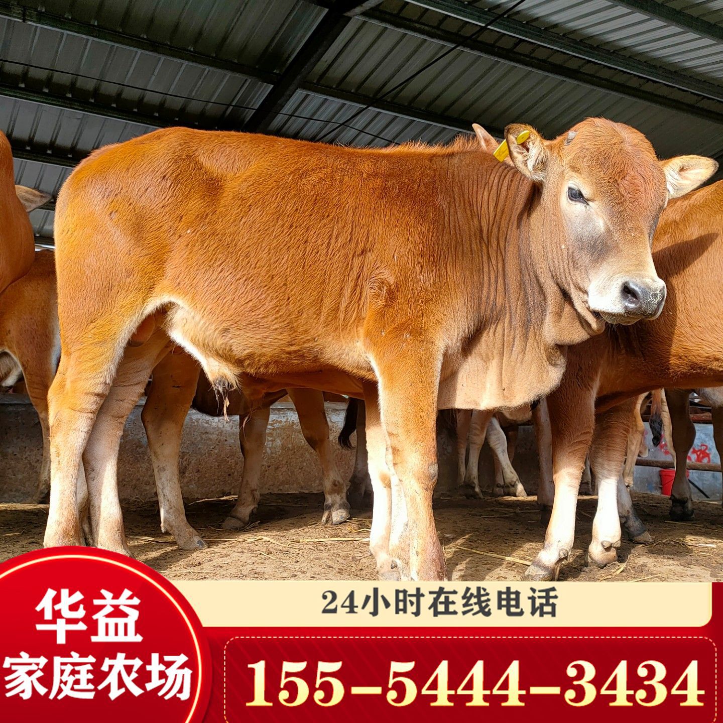 联系方式公司档案全部商品首页找工厂找货源本店关注领券合作继续 1