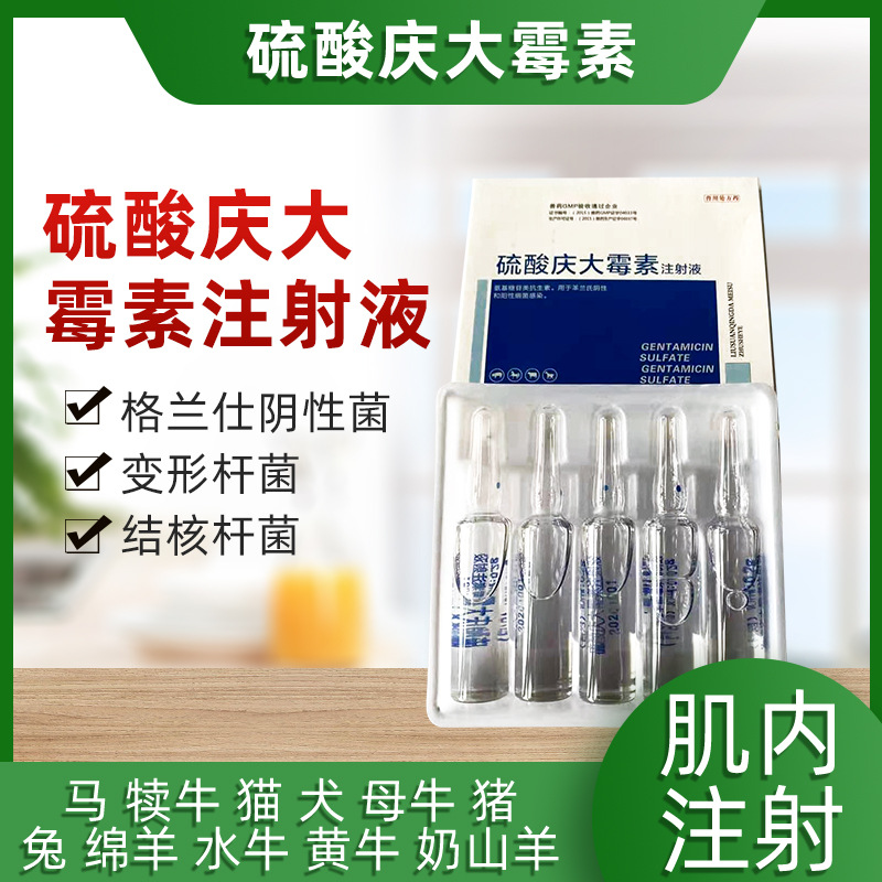 兽用庆大霉素注射液 20万单位庆大针常规兽药批发现货10毫升*5支