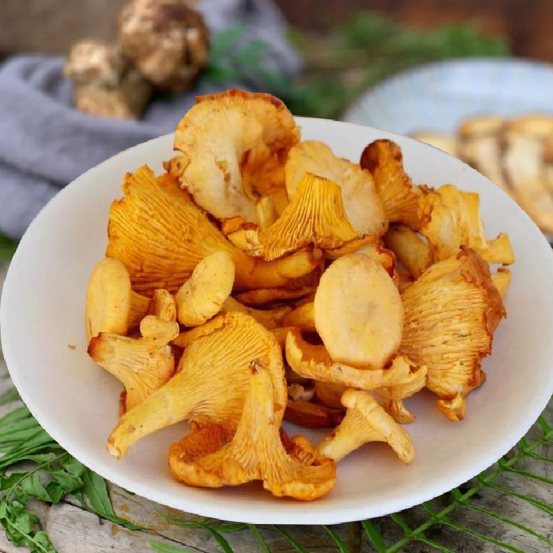 冰鲜鸡油菌黄金菇云南特产食用菌餐饮火锅菌汤包批发鸡油菌速冻品