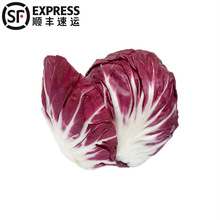 新鲜红叶生菜2斤3斤5斤罗莎红紫叶生菜新鲜蔬菜西餐沙拉健身食材