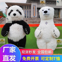充气泰迪熊熊猫卡通人偶服北极熊动漫玩偶服大号表演衣服玩偶服装