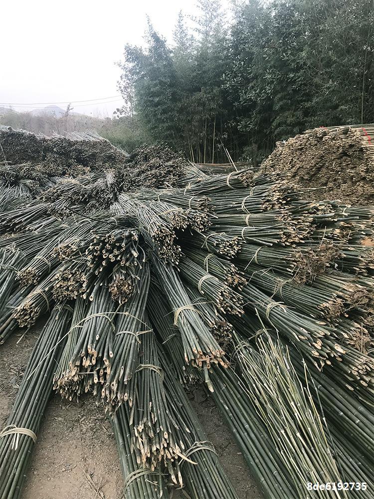 种菜盆架子绿色竹竿庭院豆角架菜架晾衣架竹竿粗菜园搭架栏杆竹子