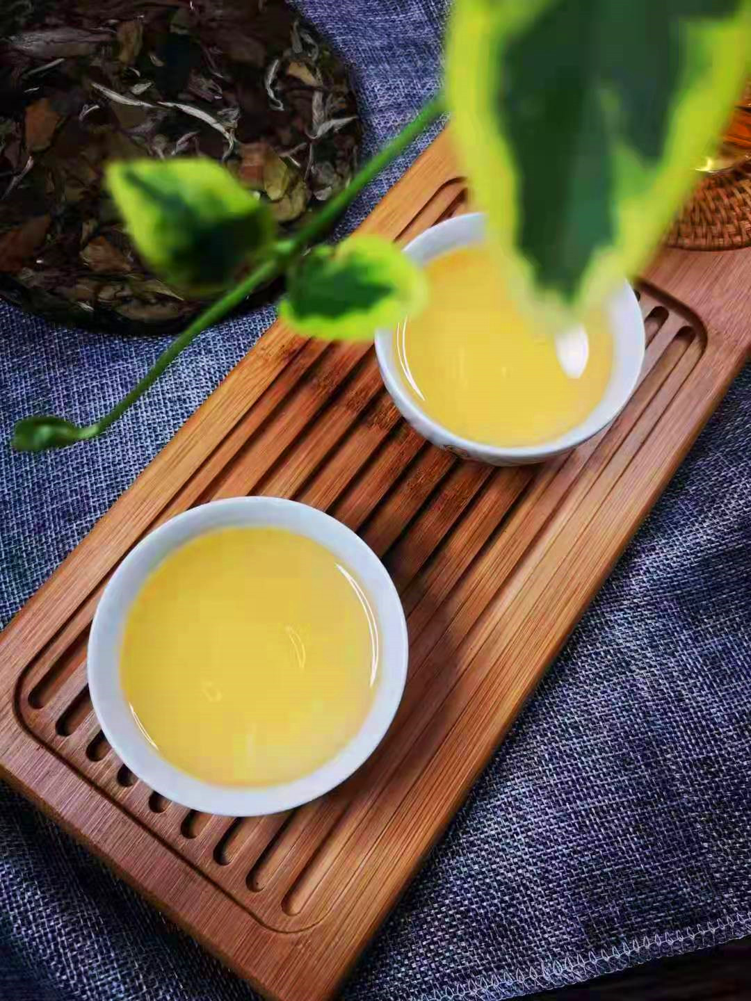 如需发票另加税点,详询客服南糯山古树白茶,福鼎白茶工艺制作,它不经