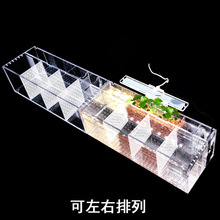斗鱼浴缸斗鱼繁殖孵化隔离盒桌面养殖装饰景观亚克力生态创意排缸