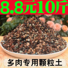 多肉颗粒土营养土壤种植进口泥炭土叶插铺面石纯颗粒花土多肉专用