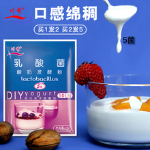 酸奶发酵菌乳酸菌家用菌粉益生菌自制做酸奶发酵粉发酵剂