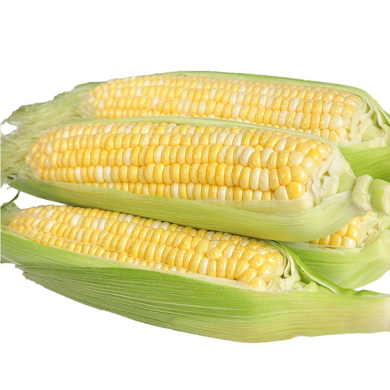 云南水果玉米金银玉米新鲜甜玉米非糯玉米棒生吃甜脆爆浆水果批发
