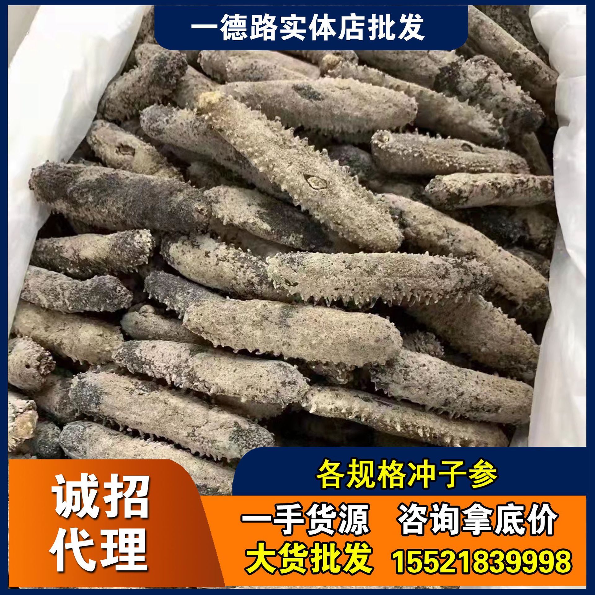 冲子参 纯淡干海参 刺参 深海天然海参 滋补品 一德路实体批发