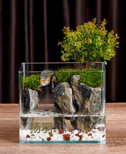 扬羽山水鱼缸生态鱼缸水陆缸成品桌面微景观家用套餐热带雨林水循