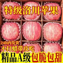 正宗陕西洛川苹果水果新鲜当季整箱红富士冰糖心一级脆甜10斤2