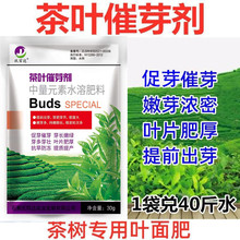 茶树 茶叶专用 催芽剂 素 多芽叶面肥 绿茶叶催芽生长素 叶面肥