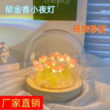 网红郁金香小夜灯创意手工制作DIY材料桌面led氛围灯摆件生日礼物