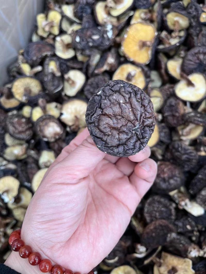 新货粤北产始兴椴木香菇黑面菇花菇香信野外姑韶关产散干冬菇