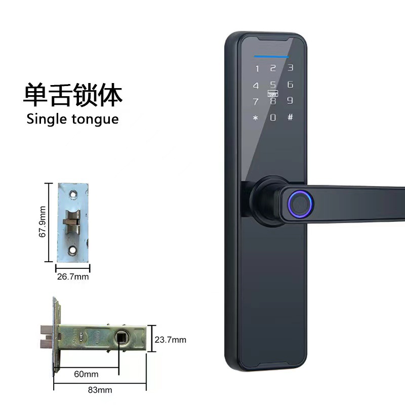 Fingerprint Lock Inner Door Fingerprint Lock Graffiti Wifi Bluetooth Pass Bluetooth Graffiti Password Lock Chinese and English Smart Lock