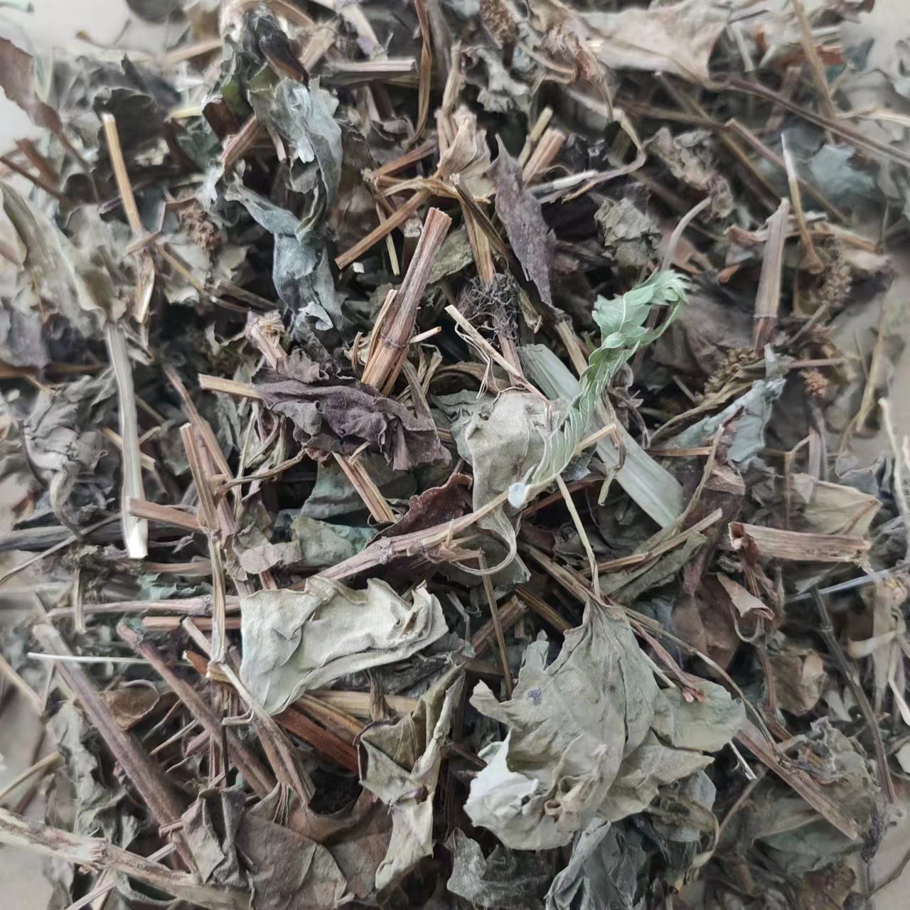 鱼腥草 产地直销 干根 折耳根 新鲜农家 中药材批发供应-阿里巴巴