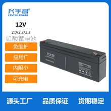 兴宇昌蓄电池 12V2.3AH  消防控制柜 2.2AH 医疗设备 铅酸蓄电池