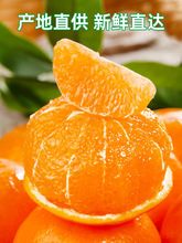 广西武鸣沃柑9斤新鲜水果当季整箱时令沙糖蜜橘砂糖橘子柑橘桔子