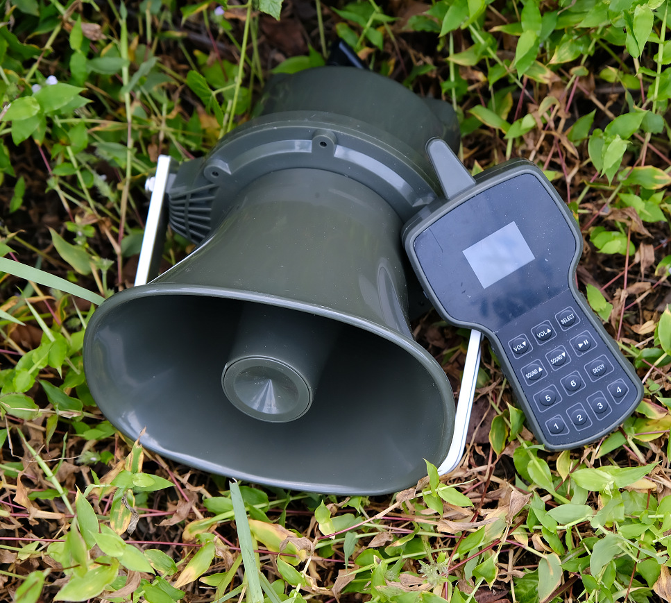 工厂直销户遥控外电子鸟鸣器mp3动物鸣叫器鸟叫机播放器扩音器