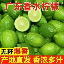 柠檬香水柠檬广东一级果9斤1奶茶店专用批发水果包邮速卖通厂家