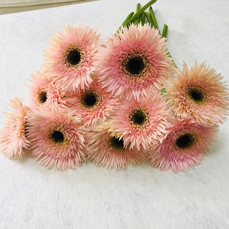 拉丝菊非洲菊鲜花非洲菊花直批插花花束云南家用昆明花卉市场水养