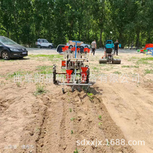 农用秧苗种植机瓜果苗栽种自动栽苗机行距可调黄瓜辣椒西瓜移栽机