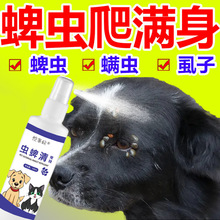 蜱虫专用药狗狗身上去蜱虫喷剂除蚤跳虱体外宠物猫驱除蜱虫清喷雾