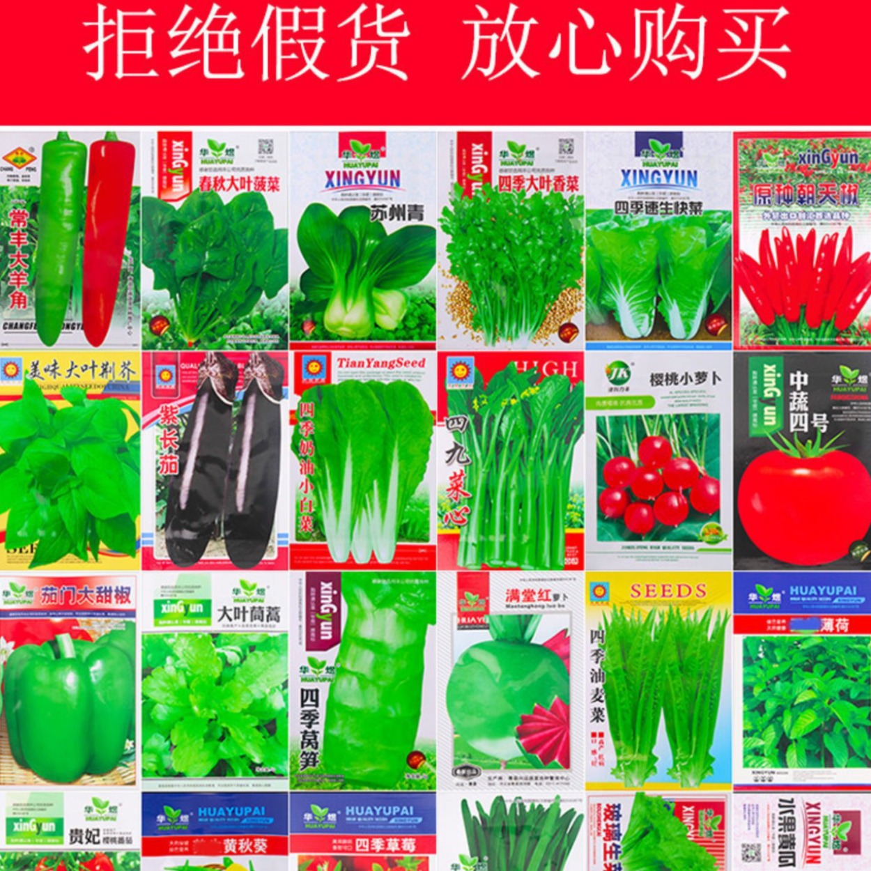 蔬菜种子四季播盆栽阳台庭院香菜青菜萝卜生菜小葱菠菜籽豆子辣椒