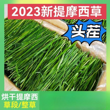 兔子草2023提摩西干草晒干烘干叶北提豚鼠猪饲料牧草兔粮一件代发