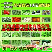 菠菜生菜南瓜番茄黄秋葵香菜韭菜种籽阳台盆栽四季播种蔬菜种孑子