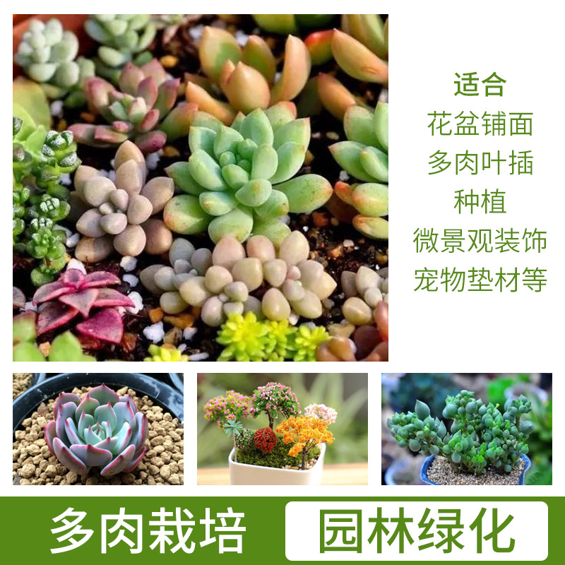 三本线硬质赤玉土多肉土盆景土兰花土铺面种植整包14升4个规格