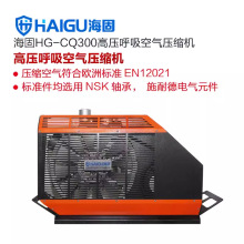 新品海固HG-CQ300空气呼吸器充气泵 高压呼吸空气压缩机