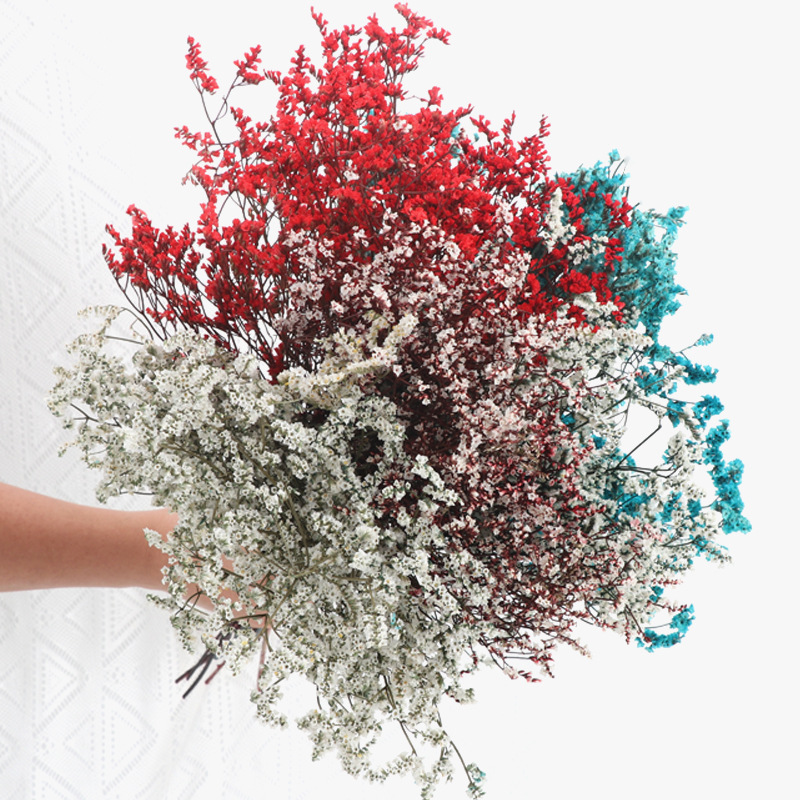 永生花水晶草彩色保鲜花花艺配材diy家居装饰干花拍摄道具