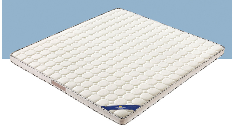 厂家直供椰棕床垫薄床垫宾馆宿舍学生上下铺单双人硬床垫床褥垫子