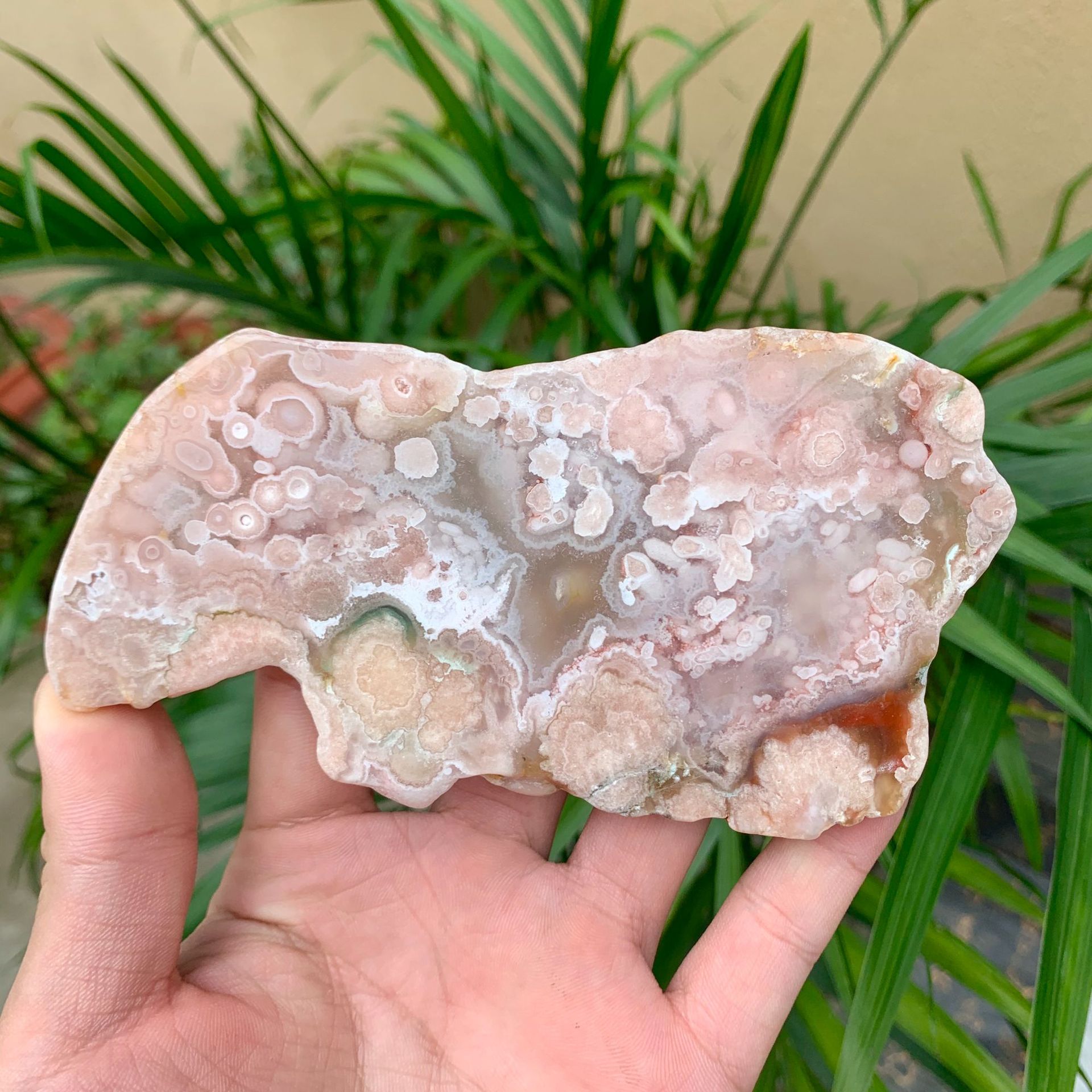 源头厂家天然樱花玛瑙原石切片绿樱花玛瑙切片装饰水晶摆件