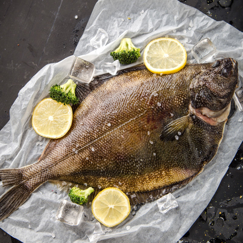 牙片鱼鸦片鱼海鲜鲜活冷冻水产海鱼新鲜大野生比目鱼多宝鱼鲽鱼