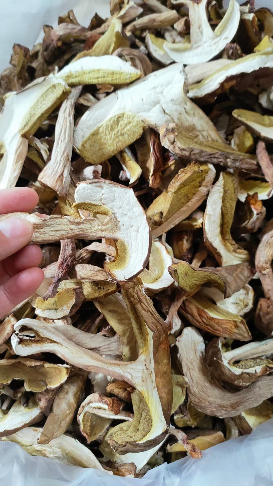 云南产晒干野生牛肝菌500克-阿里巴巴