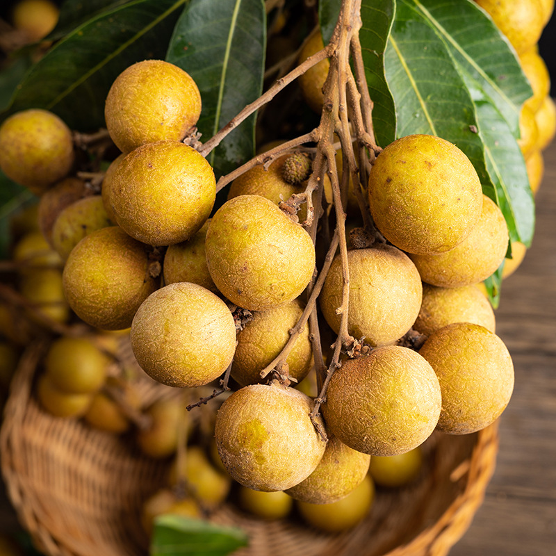 乐鲜果园海南鲜龙眼4斤精选果新鲜桂圆大果当季特产时令水果