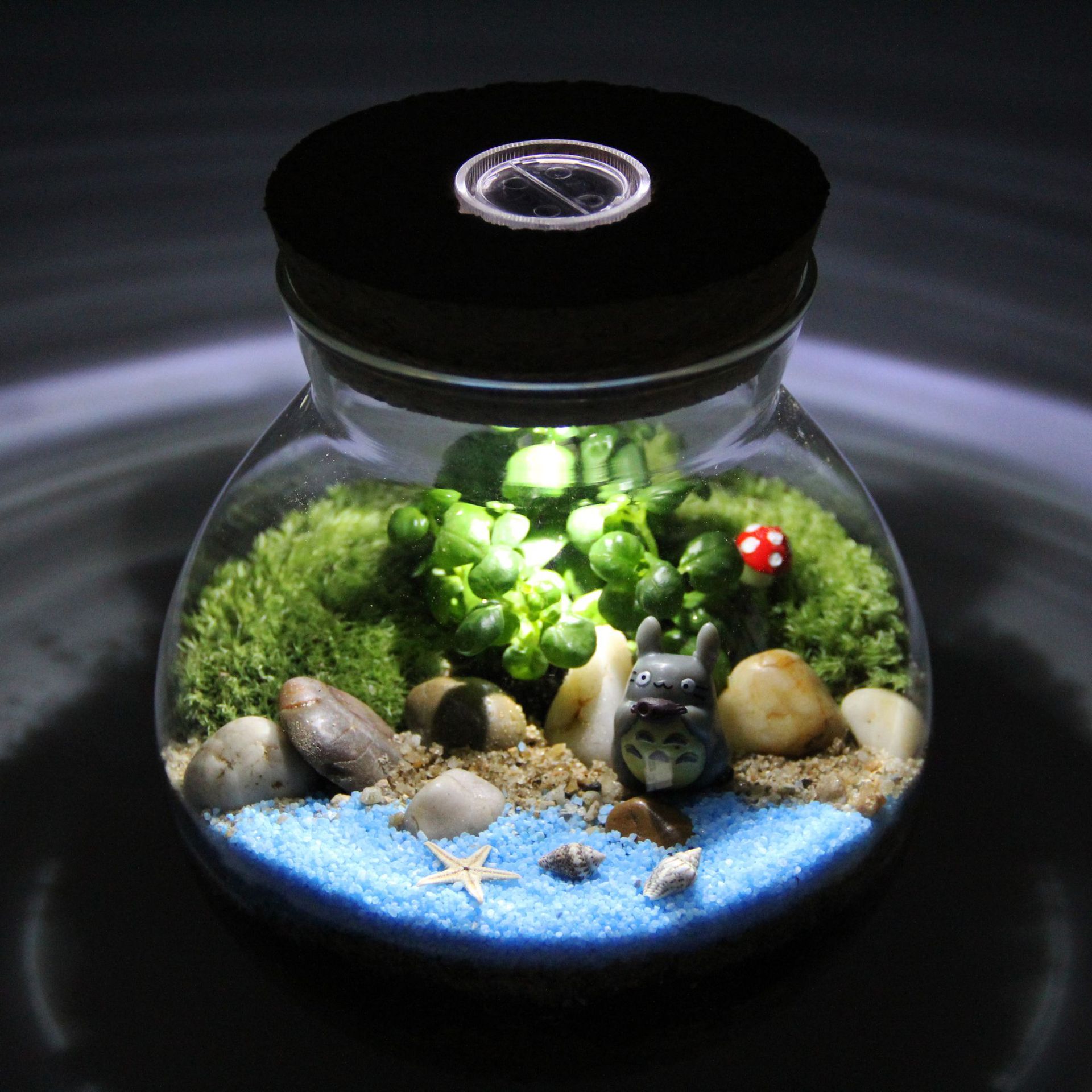 苔藓微景观创意盆栽礼品摆件苔藓瓶生态瓶135木塞带灯套装