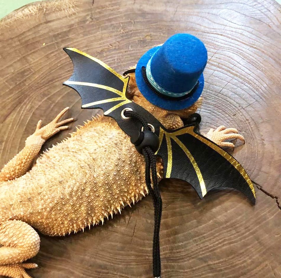 Lizard Rope Climbing Pet Going out Funny Dress up Crawling Portable Walking Adjustable Christmas Hat Halloween Top Hat