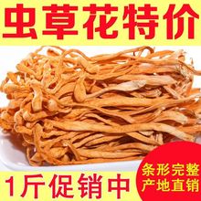 虫草花干货500g农家新货孢子头虫草花批发菌菇煲汤非净重毛重250g