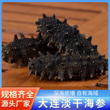 大连海参纯淡干货辽参六排刺参孕妇营养9年老参正品深海500克礼盒
