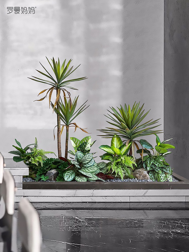 植物造景龙舌兰盆景室内楼梯下造景网红绿植景观装饰