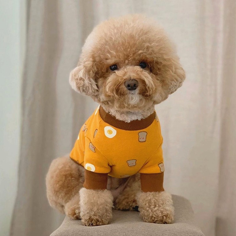 Autumn and Winter Thin Puppy Dog Toast Bottoming Shirt Cat Feet Pajamas Small and Medium-Sized Dogs Teddy Pet Clothes