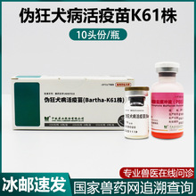 猪用伪狂犬活疫苗母猪小猪伪狂犬灭活疫苗中牧K61株滴鼻猪用兽药