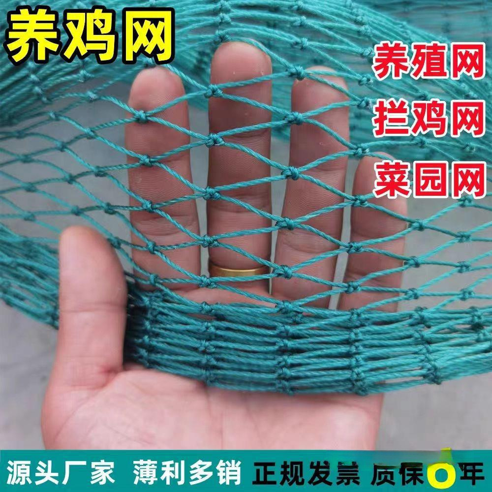 工厂直发养鸡围栏网塑料尼龙养殖网家用圈拦隔离编织网防逃合股软