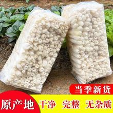 干竹荪干货250克500新鲜无硫鲜竹笙竹菌菇竹参特产