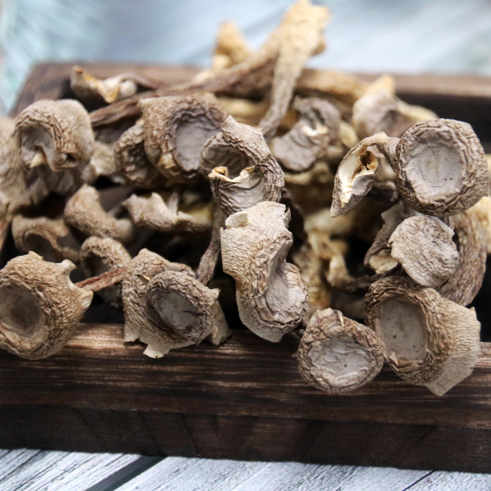 【津鸣】福建古田鹿茸菌干货食用菌 质地细腻,味道鲜美批发