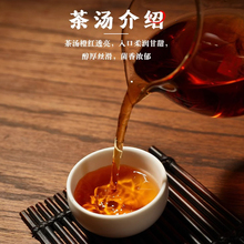 安化黑茶湖南茶叶2015年原料老茶手筑金花茯砖罐装50g
