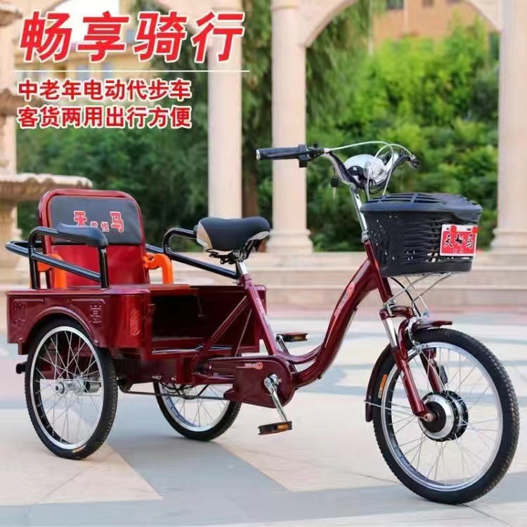 电动三轮车双人代步车残疾人家用小型轻便三轮锂电瓶车助力车￥2385