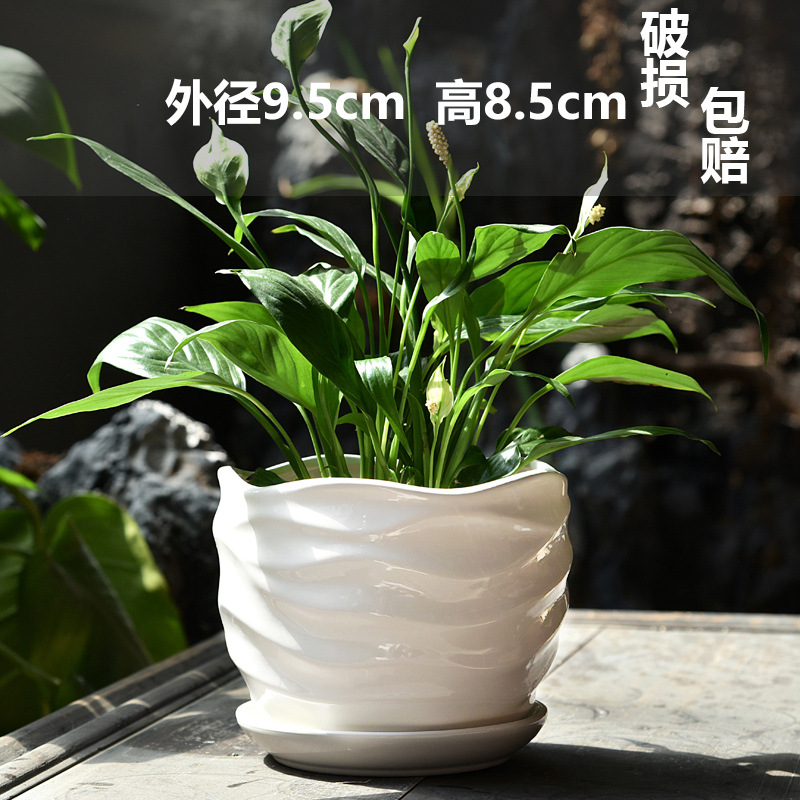 网红花盆陶瓷清仓大号中号家用绿萝吊兰多肉绿植白色蝴蝶兰盆批zb